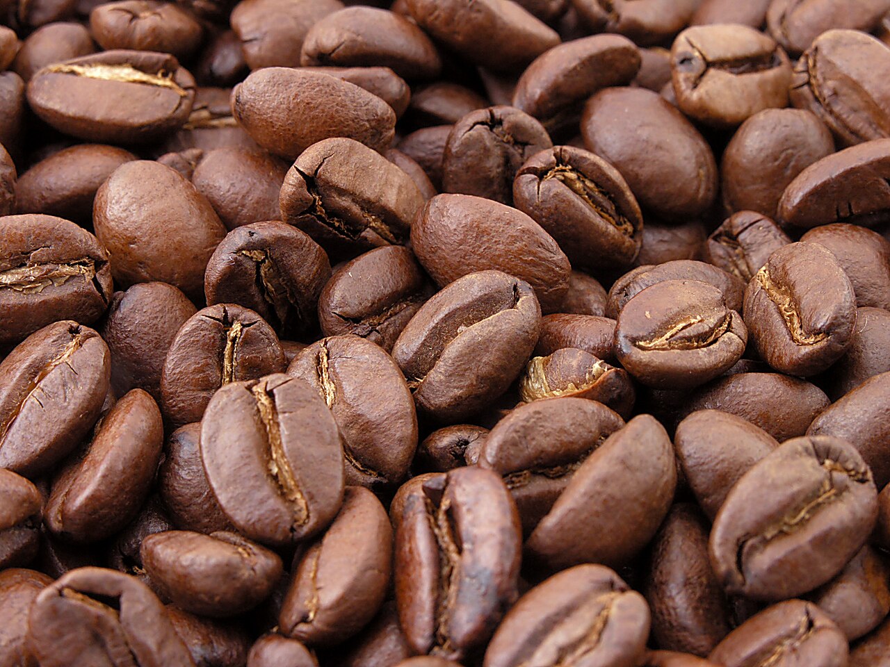 Vietnamese robusta coffee beans